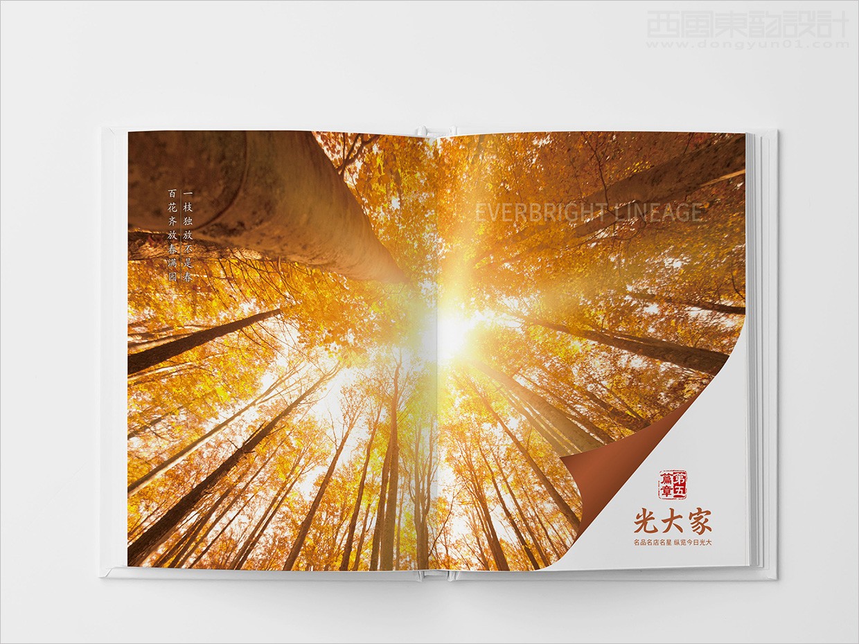 中國光大集團畫冊設計之畫冊內頁設計