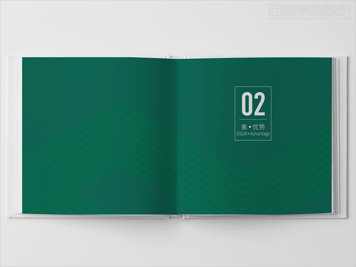 山東日照大象房屋建設(shè)公司畫冊設(shè)計(jì)之優(yōu)勢版塊形象頁設(shè)計(jì)